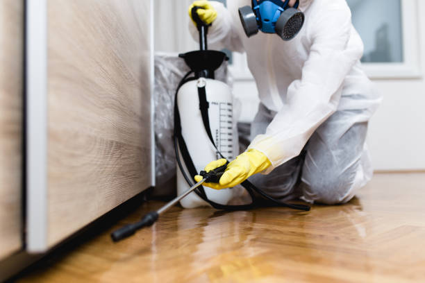 Best Local Pest Control Services  in Peoria Heights, IL