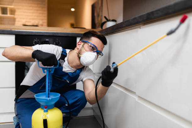 Best Best Pest Control Companies  in Peoria Heights, IL