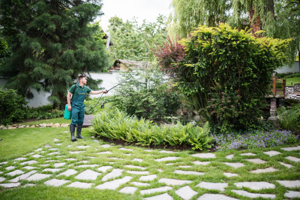 Best Ant Control Services  in Peoria Heights, IL