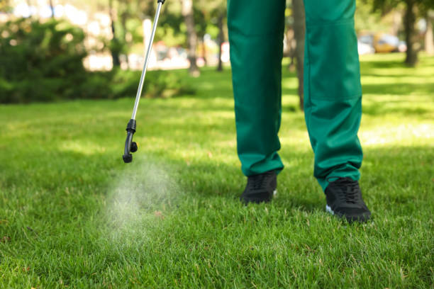Best Spider Control Near Me  in Peoria Heights, IL