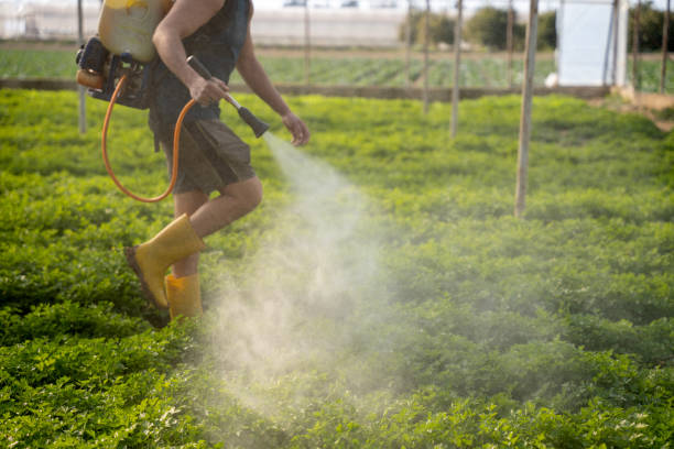 Pest Control Cost in Peoria Heights, IL