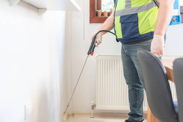 Best Wasp Removal Services  in Peoria Heights, IL