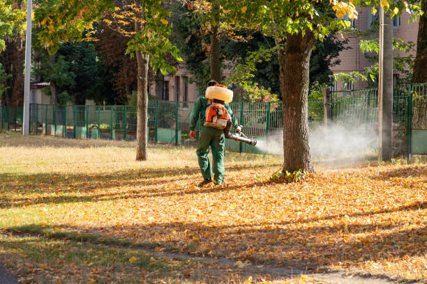 Best Affordable Pest Control Services  in Peoria Heights, IL