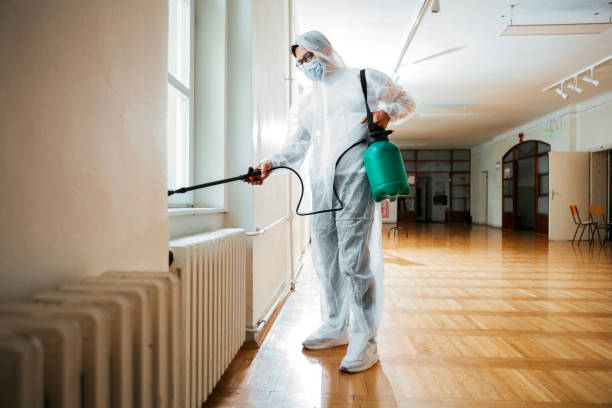 Best Bed Bug Extermination  in Peoria Heights, IL